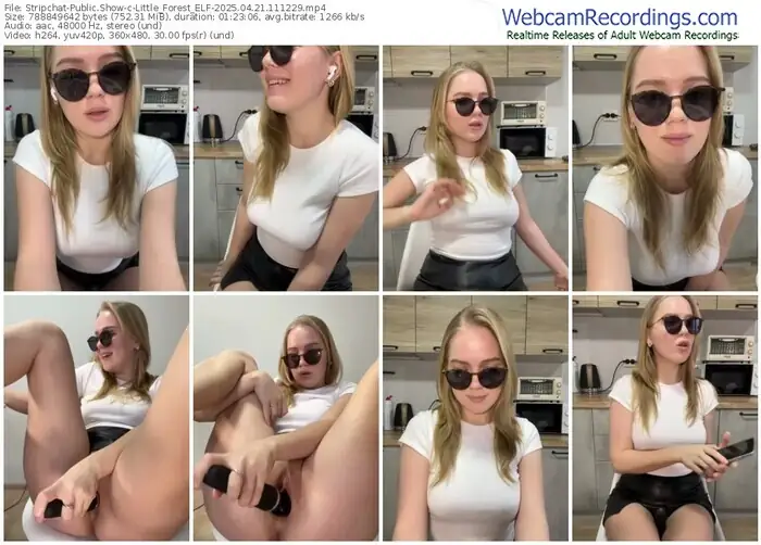 2025/04/21/stripchat-little_forest_elf-11-12-29