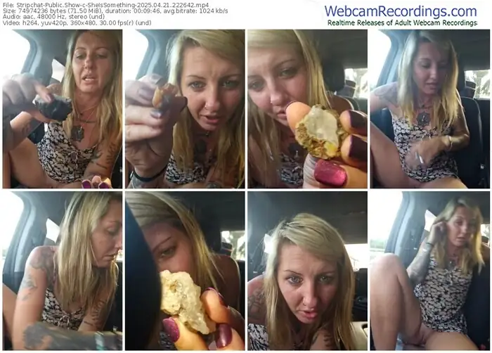 2025/04/21/stripchat-sheissomething-22-26-42