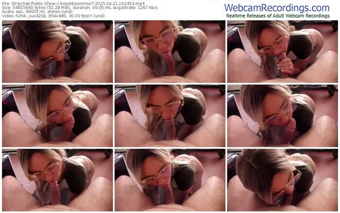 2025/04/21/stripchat-boomboomhoot-16-24-53