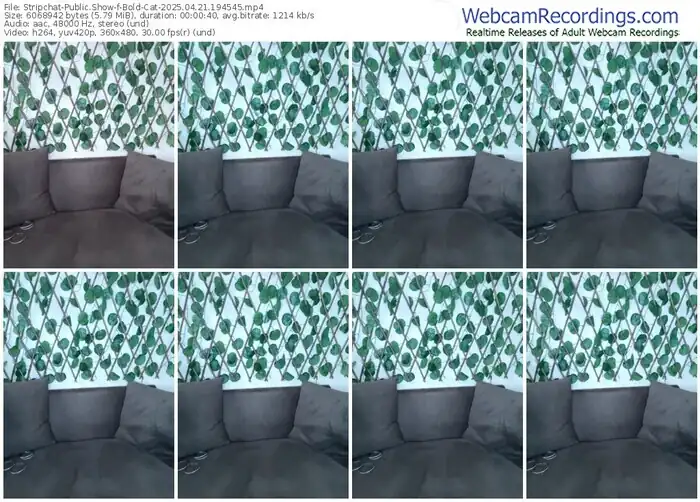 2025/04/21/stripchat-bold-cat-19-45-45