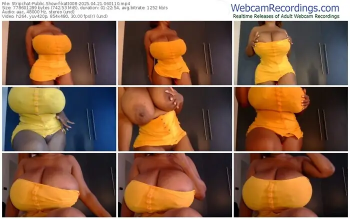 2025/04/21/stripchat-katt008-06-01-10
