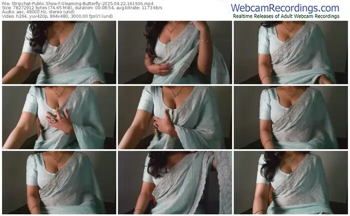 2025/04/22/stripchat-gleaming-butterfly-16-19-36