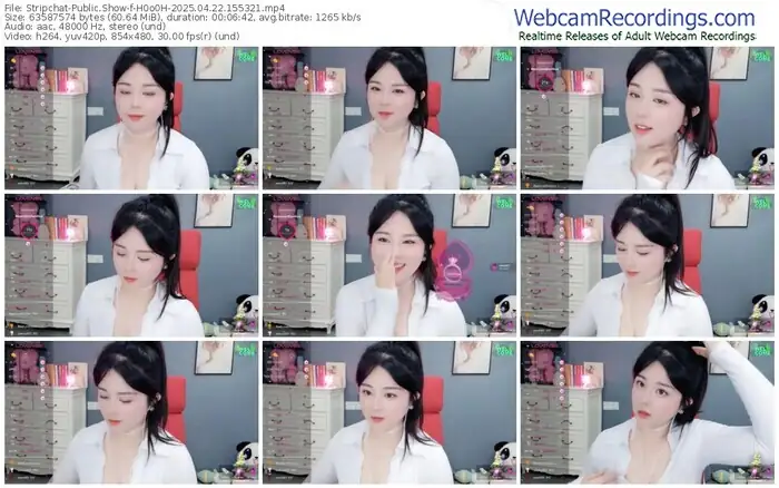 2025/04/22/stripchat-h0o0h-15-53-21
