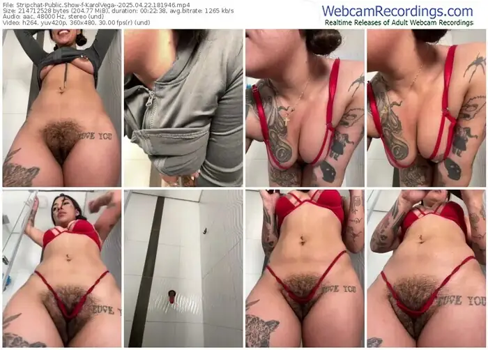 2025/04/22/stripchat-karolvega--18-19-46