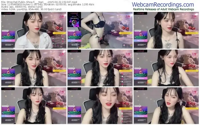 2025/04/22/stripchat-___nari___-15-10-47