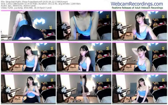 2025/04/22/stripchat-raspberryroll-17-08-29