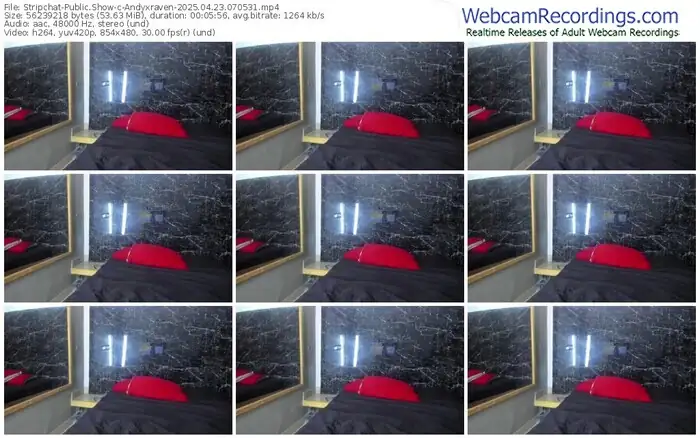 2025/04/23/stripchat-andyxraven-07-05-31