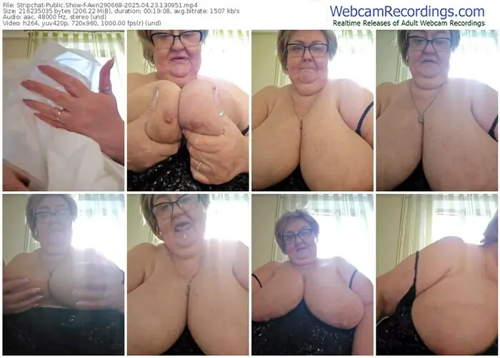 2025/04/23/stripchat-awn290668-13-09-51