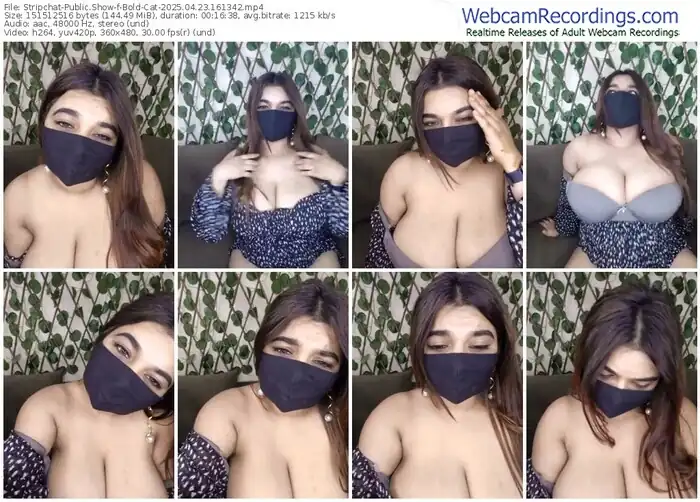 2025/04/23/stripchat-bold-cat-16-13-42
