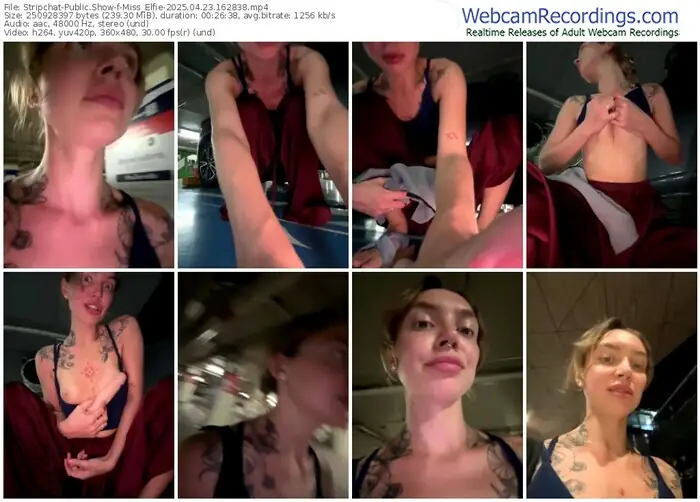 2025/04/23/stripchat-miss_elfie-16-28-38