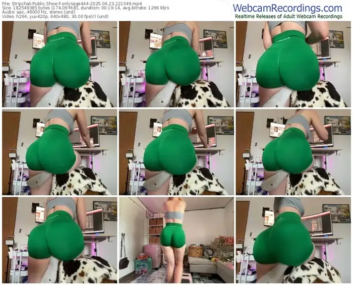 2025/04/23/stripchat-onlysage444-22-13-49