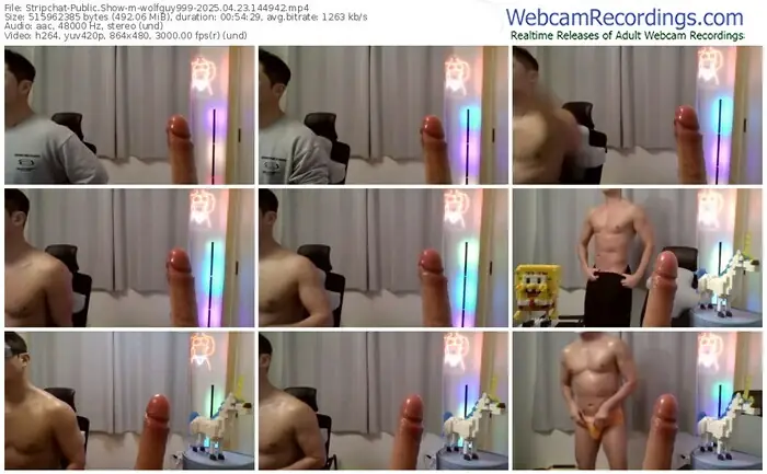 2025/04/23/stripchat-wolfguy999-14-49-42