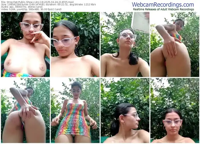 2025/04/24/stripchat-ary-18-21-45-55