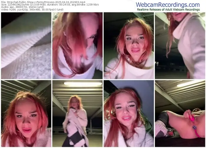 2025/04/24/stripchat-pennyprincess-20-29-03