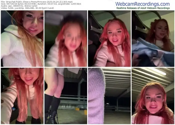 2025/04/24/stripchat-pennyprincess-21-13-03