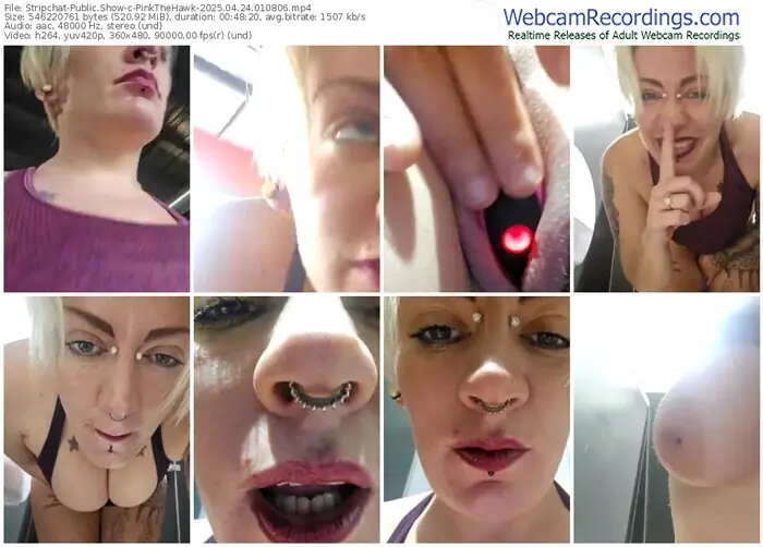 2025/04/24/stripchat-pinkthehawk-01-08-06