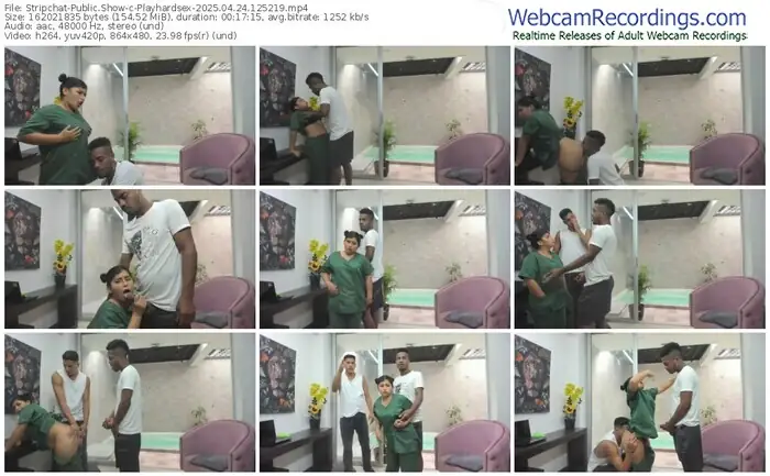 2025/04/24/stripchat-playhardsex-12-52-19