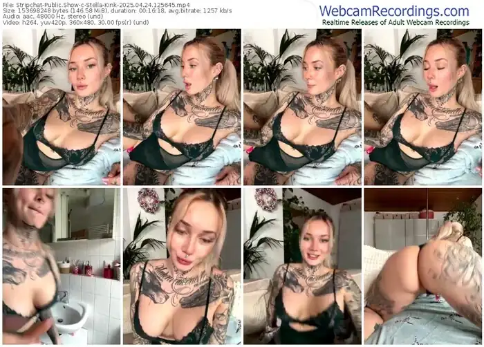 2025/04/24/stripchat-stella-kink-12-56-45