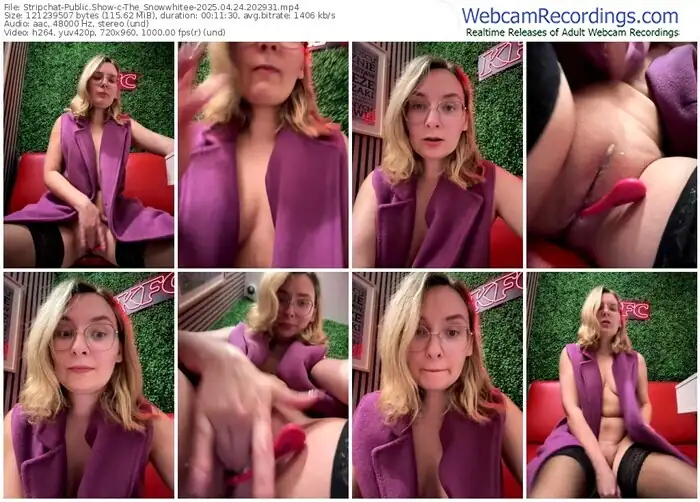 2025/04/24/stripchat-the_snowwhitee-20-29-31