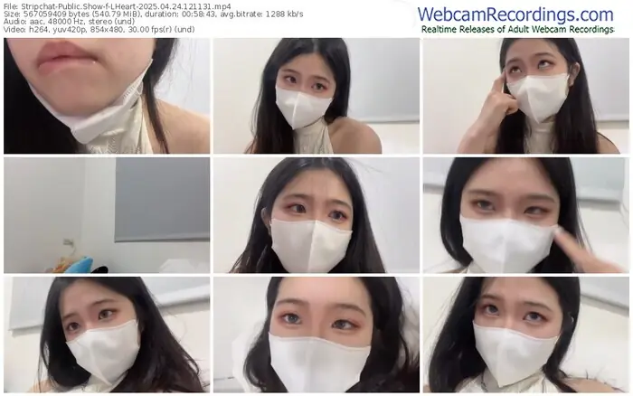 2025/04/24/stripchat-lheart-12-11-31