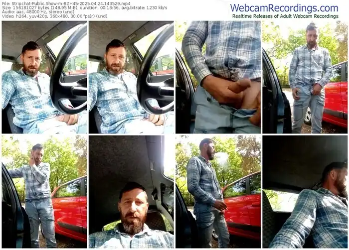 2025/04/24/stripchat-bzh45-14-35-29