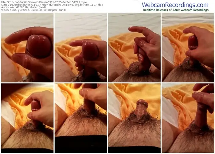 2025/04/24/stripchat-kaisan0311-15-17-29