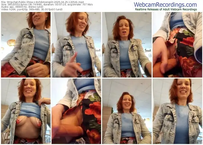 2025/04/25/stripchat-exhibitionsplit-12-05-41