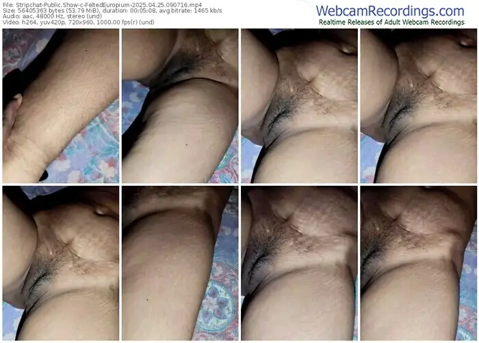 2025/04/25/stripchat-feltedeuropium-09-07-16