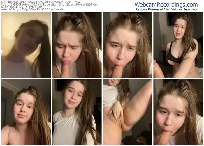 2025/04/25/stripchat-hornygirlh-22-36-13