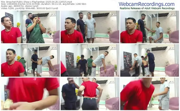 2025/04/25/stripchat-playhardsex-12-45-15