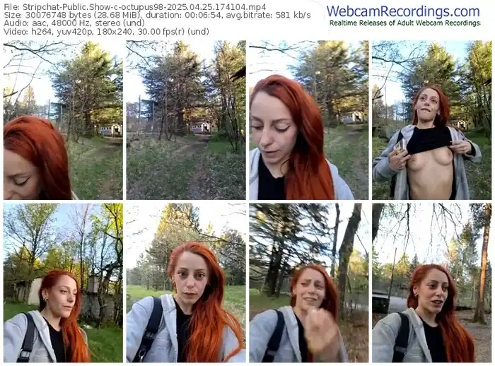 2025/04/25/stripchat-octupus98-17-41-04