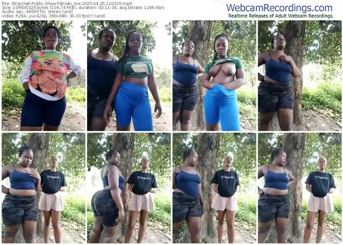 2025/04/25/stripchat-broan_me-10-20-10