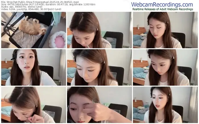 2025/04/25/stripchat-hiperpetual-08-45-21