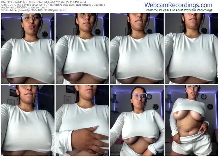 2025/04/25/stripchat-seized_lust-21-44-58