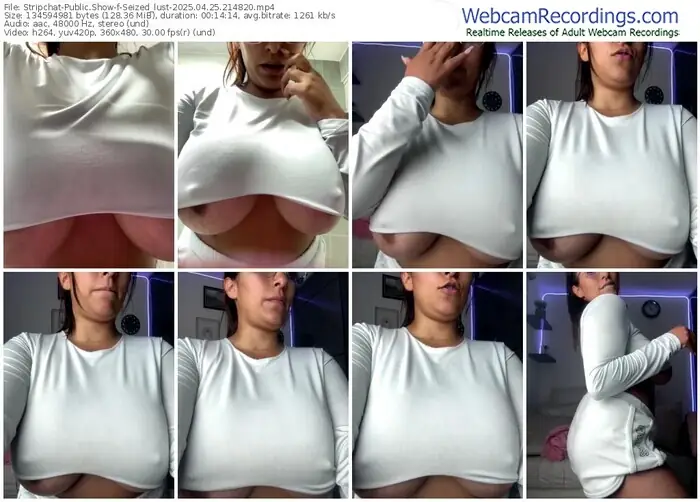 2025/04/25/stripchat-seized_lust-21-48-20