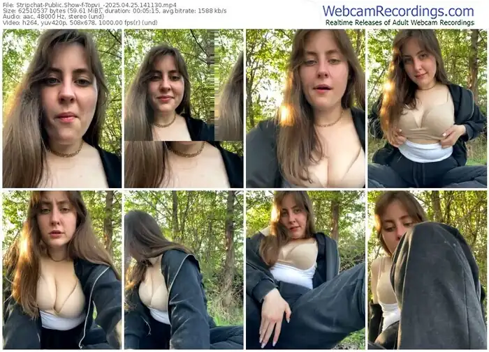 2025/04/25/stripchat-topvi_-14-11-30