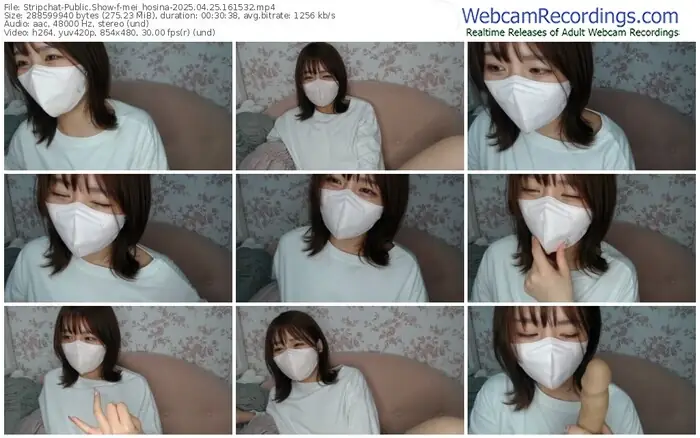 2025/04/25/stripchat-mei_hosina-16-15-32