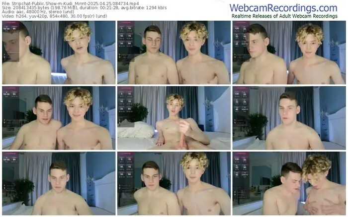 2025/04/25/stripchat-kudi_minnt-08-47-34