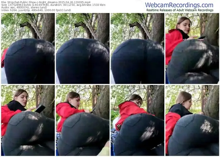 2025/04/26/stripchat-night_dreams-12-00-35