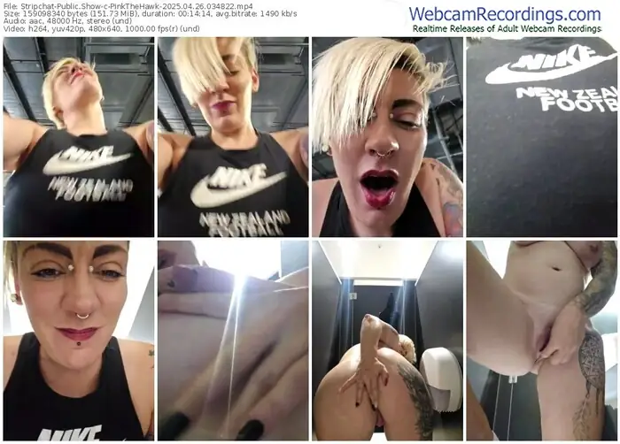 2025/04/26/stripchat-pinkthehawk-03-48-22