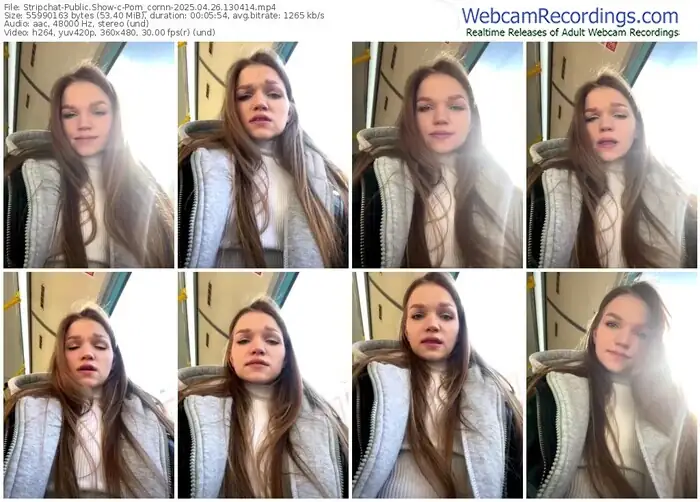 2025/04/26/stripchat-porn_cornn-13-04-14