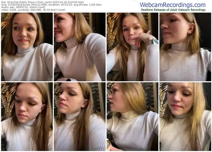 2025/04/26/stripchat-porn_cornn-16-25-24