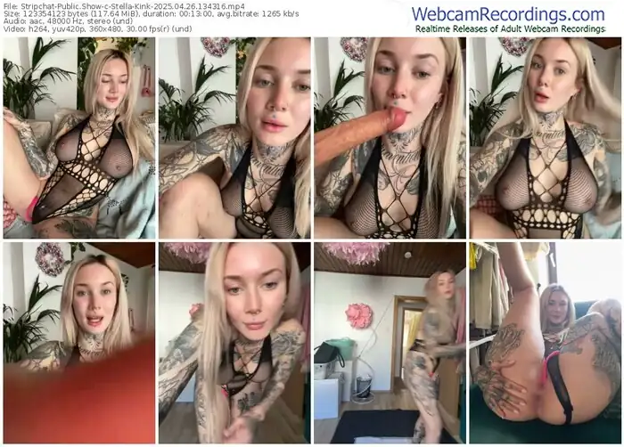 2025/04/26/stripchat-stella-kink-13-43-16