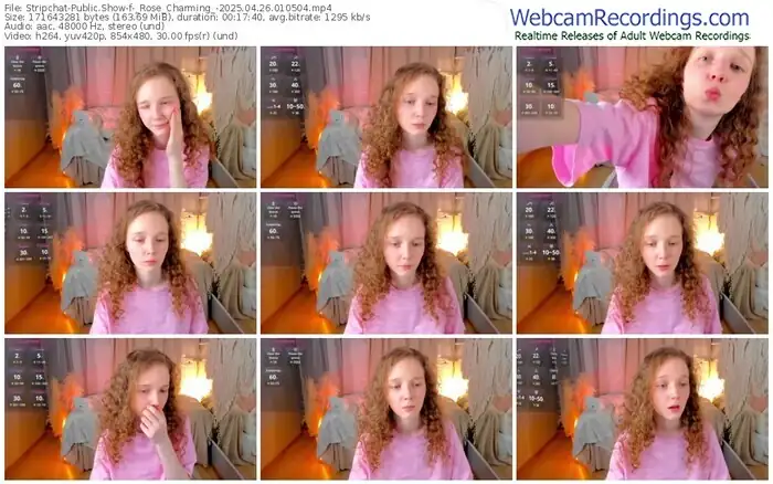 2025/04/26/stripchat-_rose_charming_-01-05-04