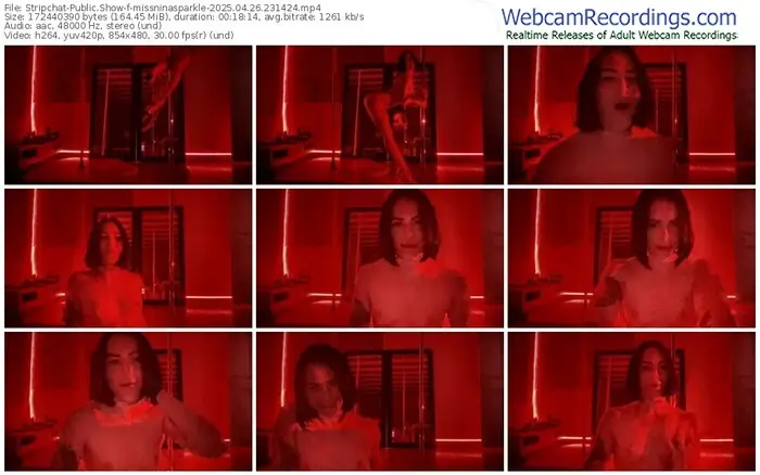 2025/04/26/stripchat-missninasparkle-23-14-24