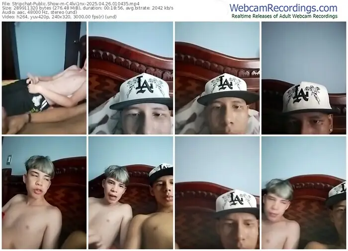2025/04/26/stripchat-c4lvi1nx-01-04-35