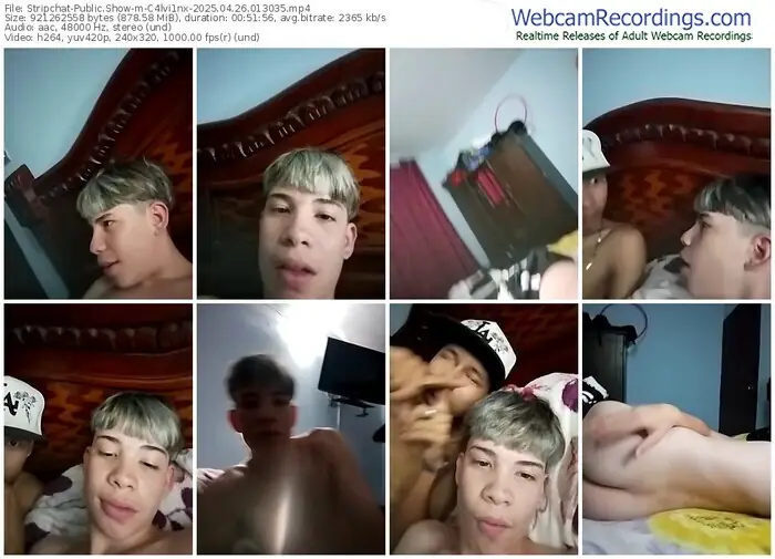 2025/04/26/stripchat-c4lvi1nx-01-30-35