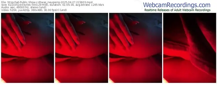 2025/04/27/stripchat-etwas_neugierig-22-36-03