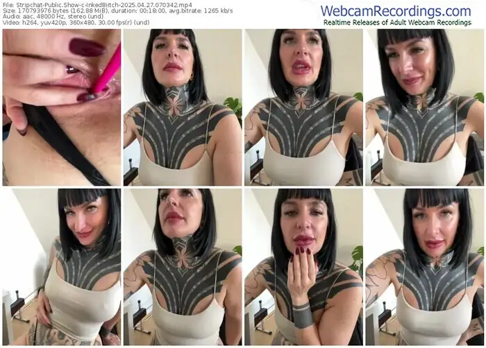 2025/04/27/stripchat-inkedbiitch-07-03-42