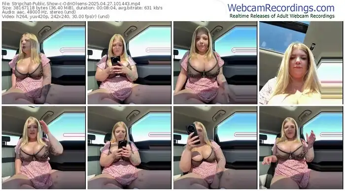 2025/04/27/stripchat-odriolsens-10-14-43